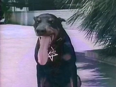 Motley Crue - Smokin' In The Boys Room (1985)