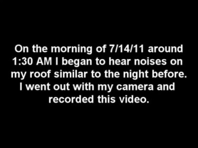 The Rake Creature Climbing On My Roof