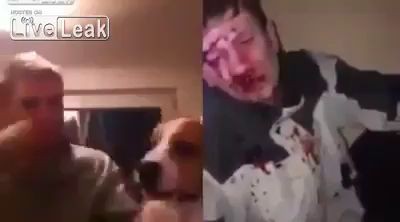 Наказание человека за избиение собаки 18+