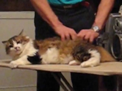 Массажный салон