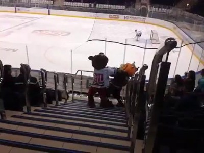 Драка талисманов