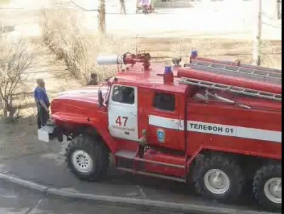 Как пожарные снимают котов с деревьев