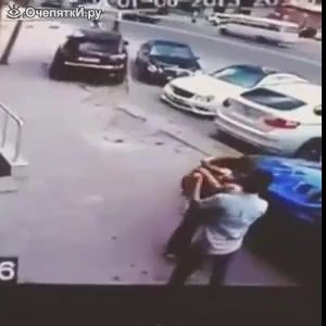 Кот против пса