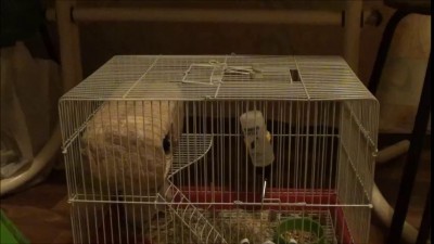 вкус свободы