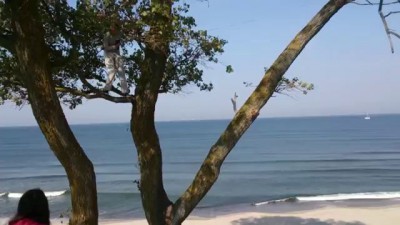 Физмат на балткосе нарушает законы физики