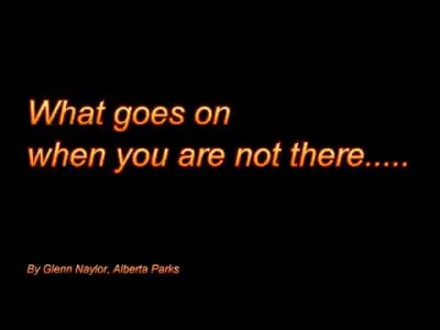 What goes on when you are not there!