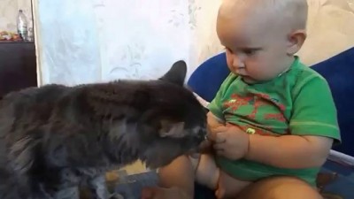 Кот и малыш!!!!!!!!! Одна булка на двоих