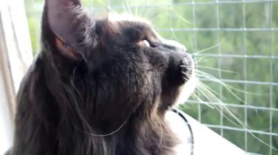 Вот так мы гуляем