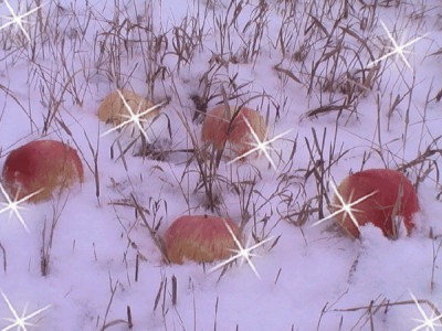 Михаил Муромов "Яблоки на снегу"