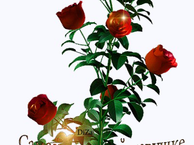 С ДНЕМ РОЖДЕНИЯ.