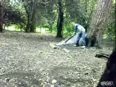 Вот так фокус