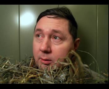 Корова на балконе