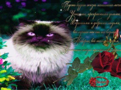 Радуйтесь жизни !