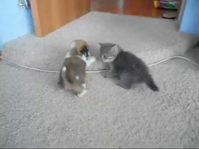 Два огромных страшных зверя