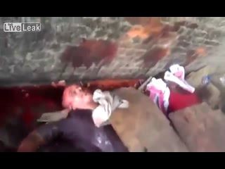 Египетский пипец