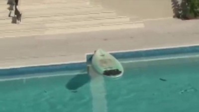 котэ сёрфер