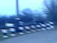 Ничего необычного. Просто страус