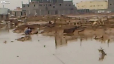 Мужик спас верблюда