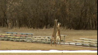 baby and Mom so funny