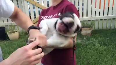 Richard Parker "Don't Cut My Nails"