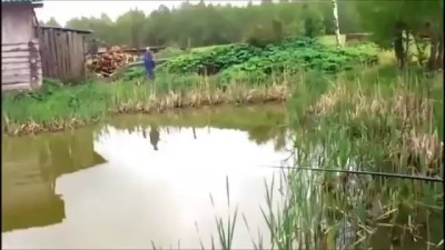 кот рыбалка