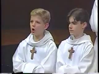 Дуэт 2-х котов