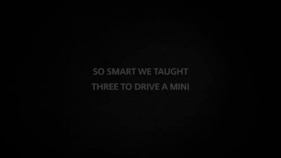 драйвинг чемпионат среди собак