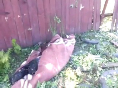 Жертвы бомбардировки 03_07_14