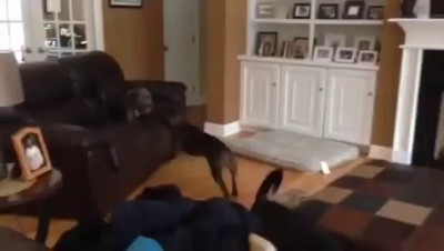 То чувство когда...