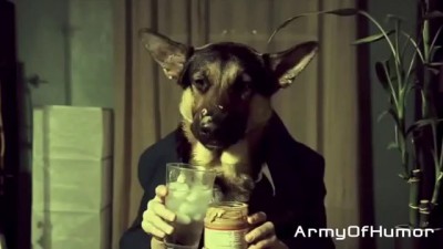 Epic Fail/Win Compilation February 2014 - Best of Pranks & Vines, Funny People Accidents