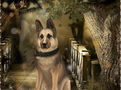 Раненый зверь.