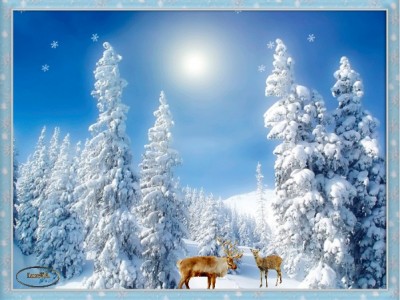 Встреча в зимнем лесу