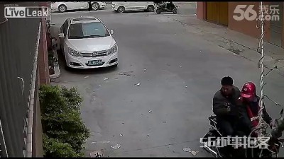 Охота на дворовых собак!!