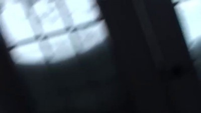 Американские коты.