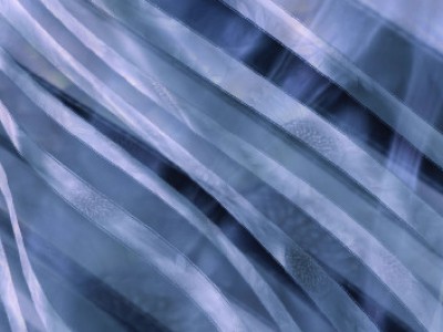 Wedding Tools II 001