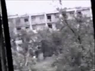 предатель сука