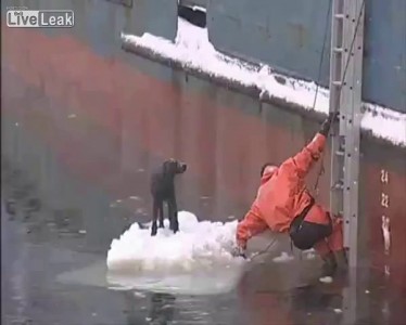 Я люблю людей!!!