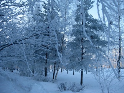 blue winter00015