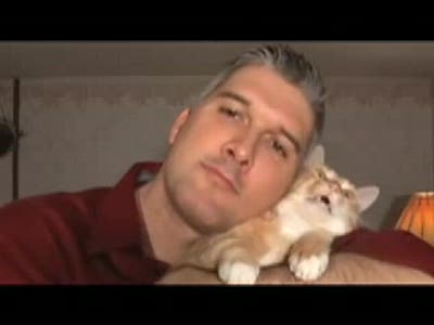 Котоскрипка