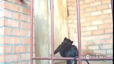 Да откройте же эту чертову дверь!