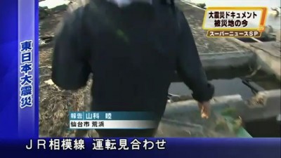 Ultimate Loyalty: Japanese Dog Refuses to Leave Injured Friend Behind