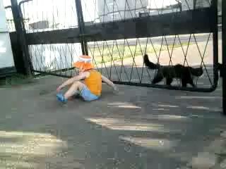 Маленький нинзя