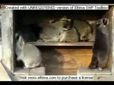 Вася выдыхай