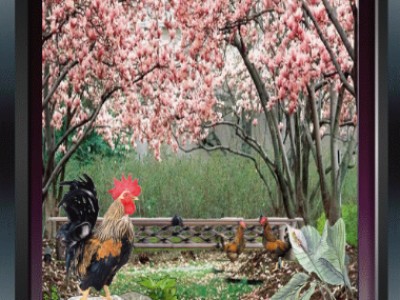 Знак "курица"