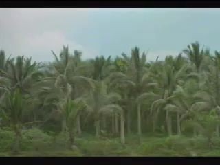 Апокалипсис сегодня интро