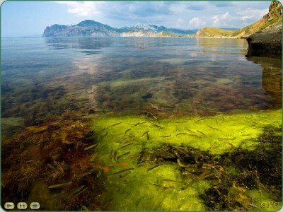 Река в горах