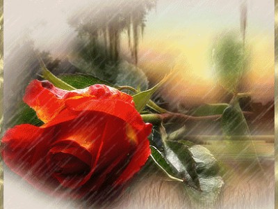 Вальс дождя Ярослав Никитин