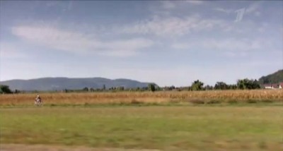 Бордер колли