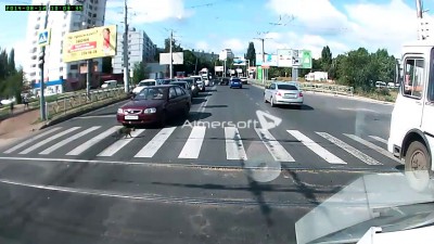 Кот на пешеходном переходе