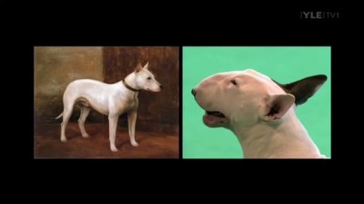 German Shepherd half dog half frog - cut from BBC Pedigree Dogs Exposed